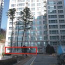 술이홀로(1) 이미지