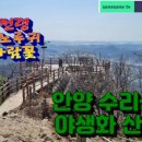 군포BYC 이미지