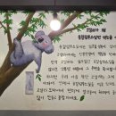 코알라포차 네이버블로그