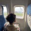141-4-000100 | 부모님과 제주도 2박 3일 여행 우찌, 도두해녀의집, 천지연폭포, 중앙식당, 오설록, 이니스프리제주...