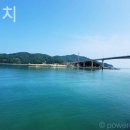 서포비치 이미지