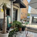 음미당 | [나운동]군산 음미당 분위기부터 맛까지 완벽! 자세한 후기😋