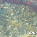 구의아리수정수센터 뉴스1