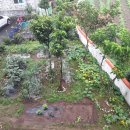 제주통큰장어 이미지