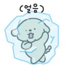 민들레애견 이미지