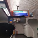 순한약국 이미지