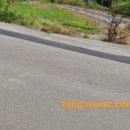 삼랑진약국 이미지