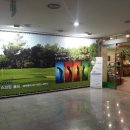 목동필드골프존 이미지