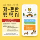 알라딘펫 이미지