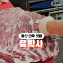 육박사
