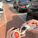 과일인생 | 수원 [모찌가 본점 ]방문 후기 리뷰 인생 과일모찌 추천