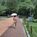 순천-64호 이미지