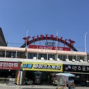 강릉여행)경포 벚꽃 자전거·스쿠터 대여 “바이크 스토리” 후기&amp;가격 정리