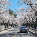 삼귀(중앙) 이미지