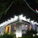 일산시티 동물의료센터 이미지