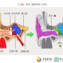 웰키즈소아청소년과의원 - 강서구 | 웰키즈소아청소년과의원