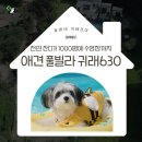 귀래630