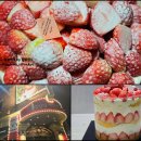 중앙동-06 | 대전 중앙동 빵집 성심당 케익부띠끄, 딸기설기 2026년 연초 평일 오픈런 후기