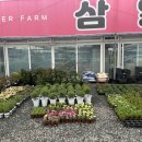 삼일농원 이미지
