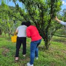 동건농장 이미지