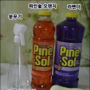 파인솔