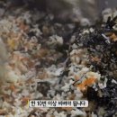뚱채김밥 - 달서구 당산로 178 | 뚱채김밥
