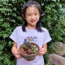 시우네농장 이미지