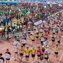 낙동강변25 이미지