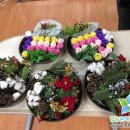 2-3 원예 치료전문가 과정 이미지