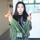 물조리자리 이미지