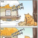 서당개 Daum카페