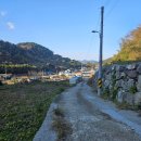 두치네민박 | 경남 거제 독채 애견펜션 대형견도 가능한 "두치네 민박"