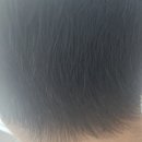[내돈내산] 쿠팡에서 구매한 내돈내산 새치샴푸,흰머리샴품 &#39;율고&#39; 후기 / 효과 굿!!