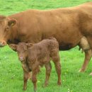 인간의 딜레마 이미지