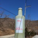 감투어 이미지