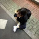 상록경찰서 | 고등학교 3학년이라 학교 갑니다