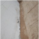 연제구-031 이미지