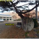 선리마을 Daum카페
