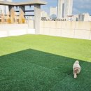 댕바이댕 이미지