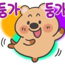 오케이포스 이미지