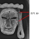 안동오리 이미지