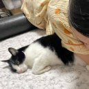 뽀바쥬 | 원래가 제목이 읍서요.