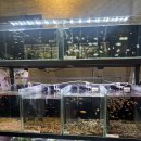 아쿠아수족관 이미지