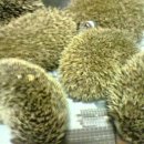 동삼1동-7 이미지