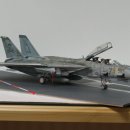 Academy F-14A Tomcat VF-84 low-viz 재탕, 삽질 웨더링... 이미지