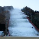 비발디파크 스키월드 이미지