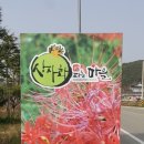 편백권역마을 이미지