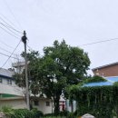 거산커뮤니티 이미지