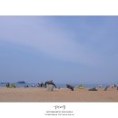 다우리조텔 이미지