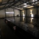 서울바다낚시터 이미지